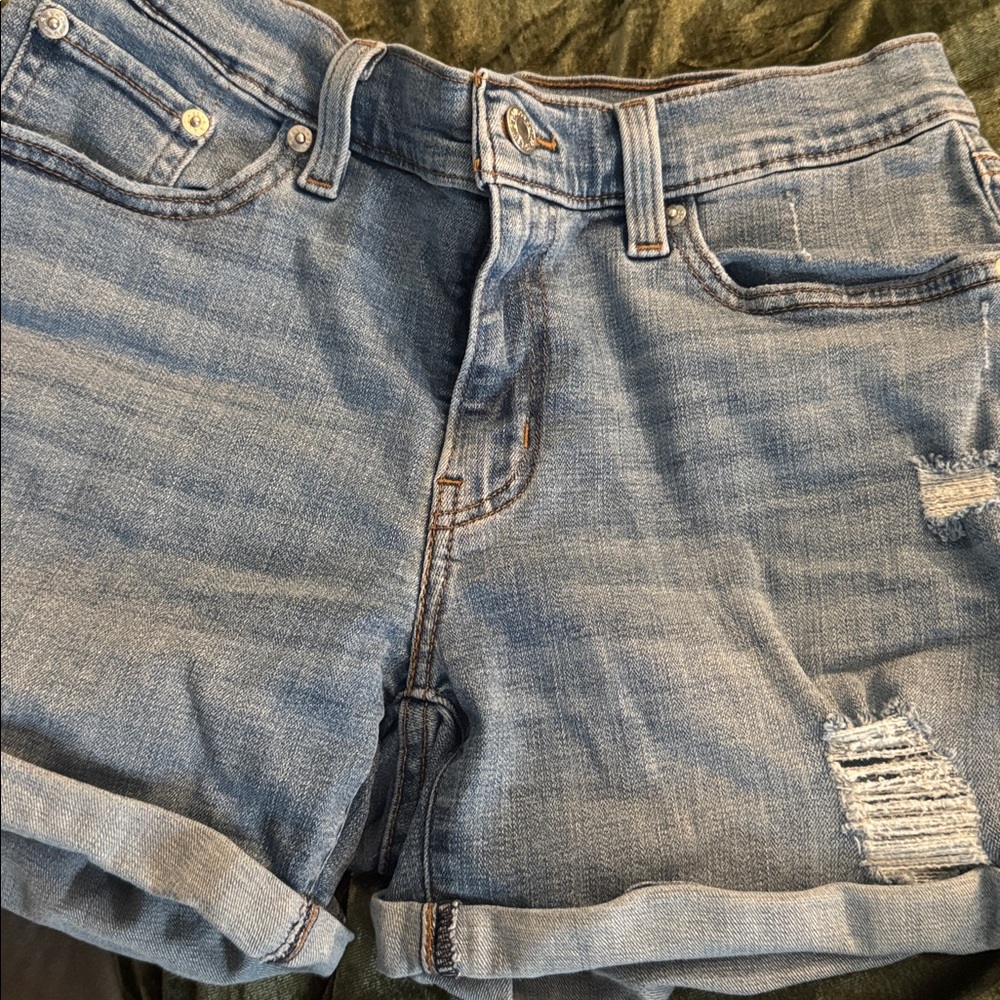 Levi Strauss Blue Denim Jeans